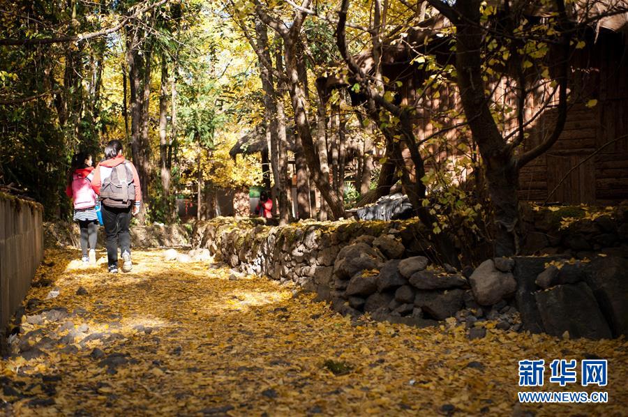 �ڳ����Ӵ�ӭ����