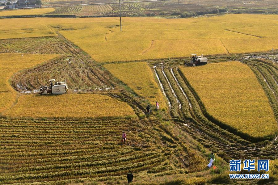 �������� ����ˮ��