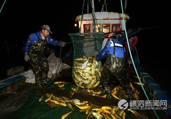 暗,大黄鱼的颜色也逐渐从银白变成金黄,船员们着手准备用于捕捞的网兜