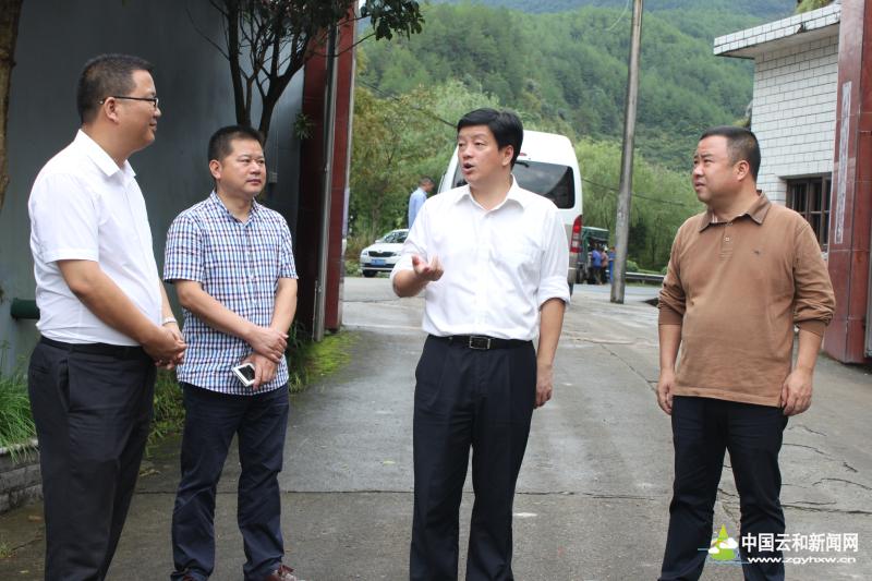 云和新闻网 县长专栏