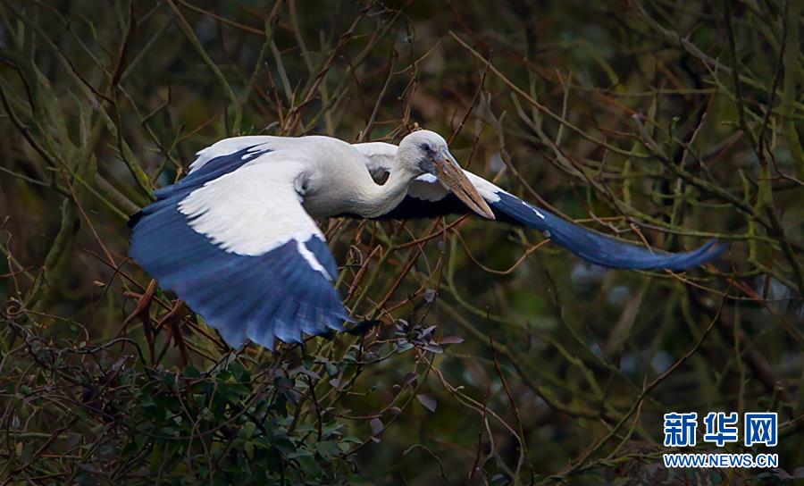 ۶�����״η���ǯ����