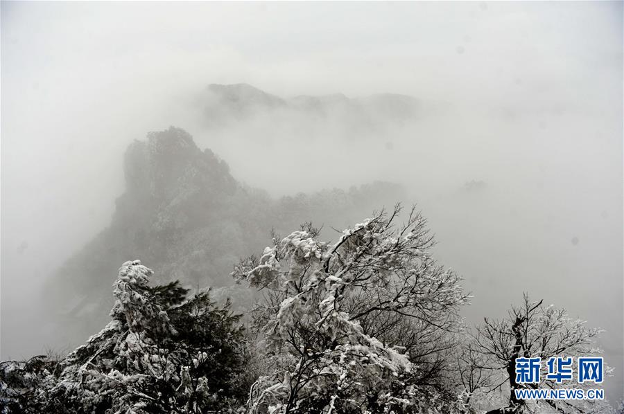 ѩ���䵱 ǧ������