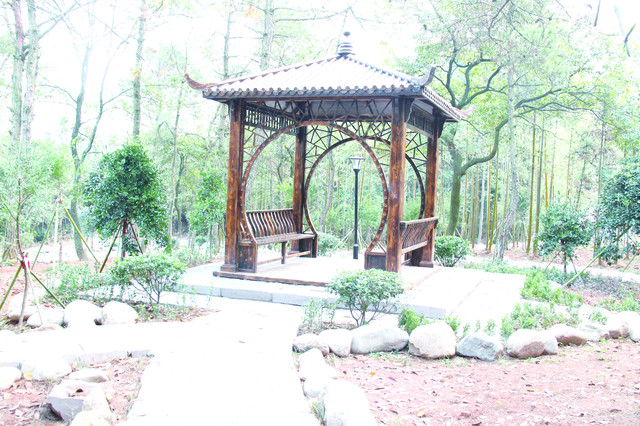 古树林公园,造景观节点,修缮古建筑粮仓,美化双口井等多个扮靓村庄的