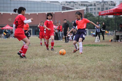 振东小学成为省青少年校园足球特色试点学校-