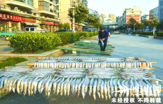 天洋海鲜城_北风至,岛城刮起晒鱼鲞热