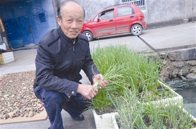 路桥海鲜批发_台州路桥出租房_路桥实验中学(2)