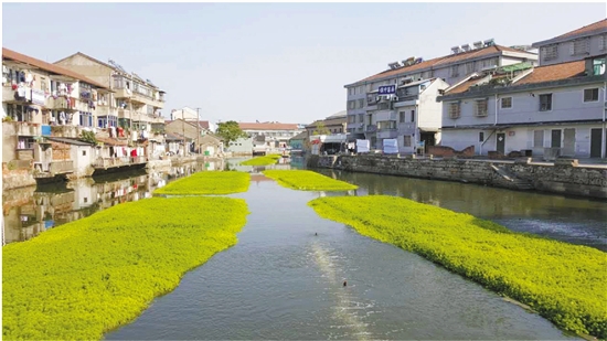 高圆圆赵又廷婚纱照