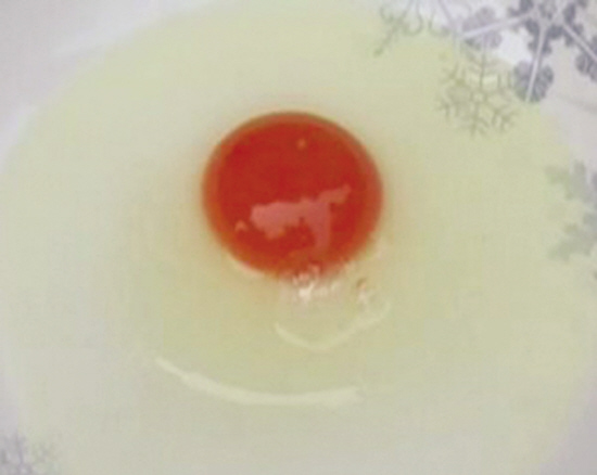 加丽素红鸡蛋