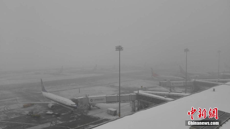 ��³ľ�뺽����������