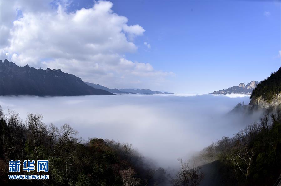 �����е���ũ��