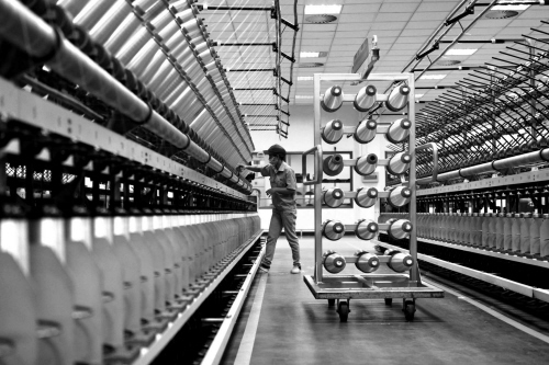 凝聚智慧 履职尽责 助推桐乡创新发展