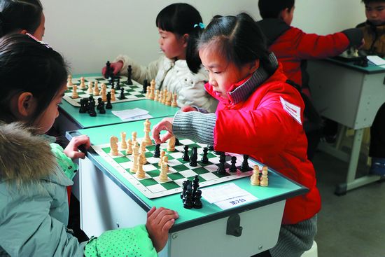 方寸之间展风采