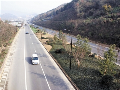 沈芦公路沿线添新绿