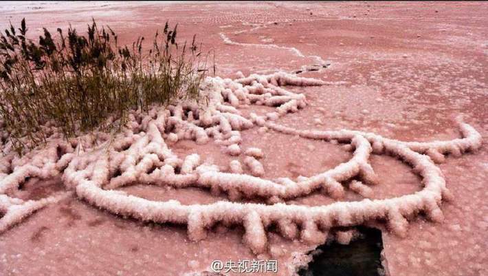 �˳��γس���