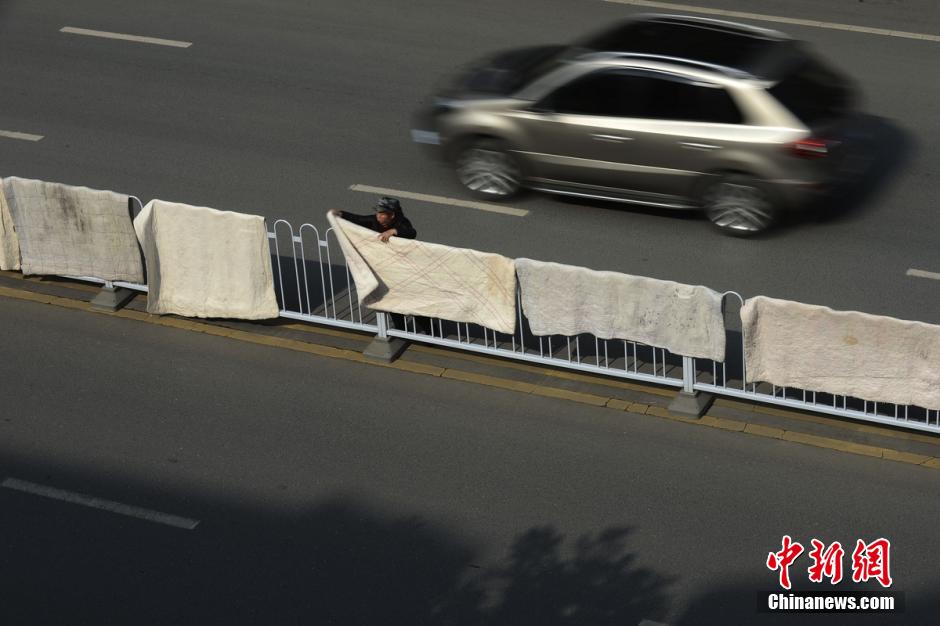 ��ɳ����ɹ��