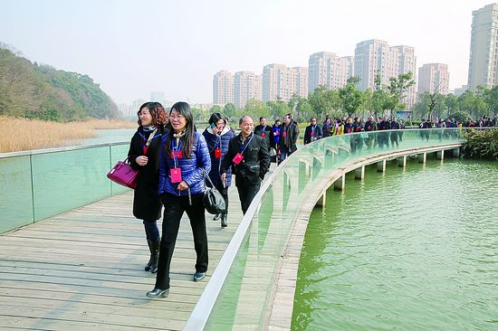 党代表视察普陀新面貌