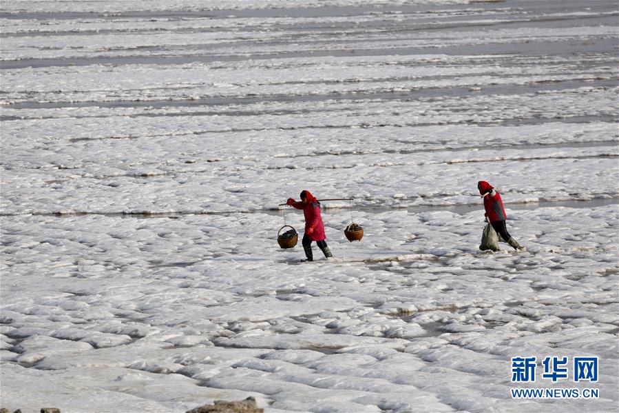 �ҹ���ؽ�ӭ������