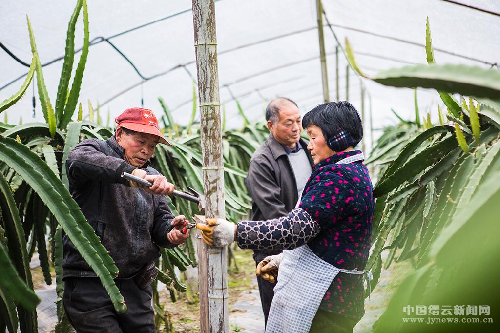 县教育局五项举措积极应对雨雪冰冻天气--缙云