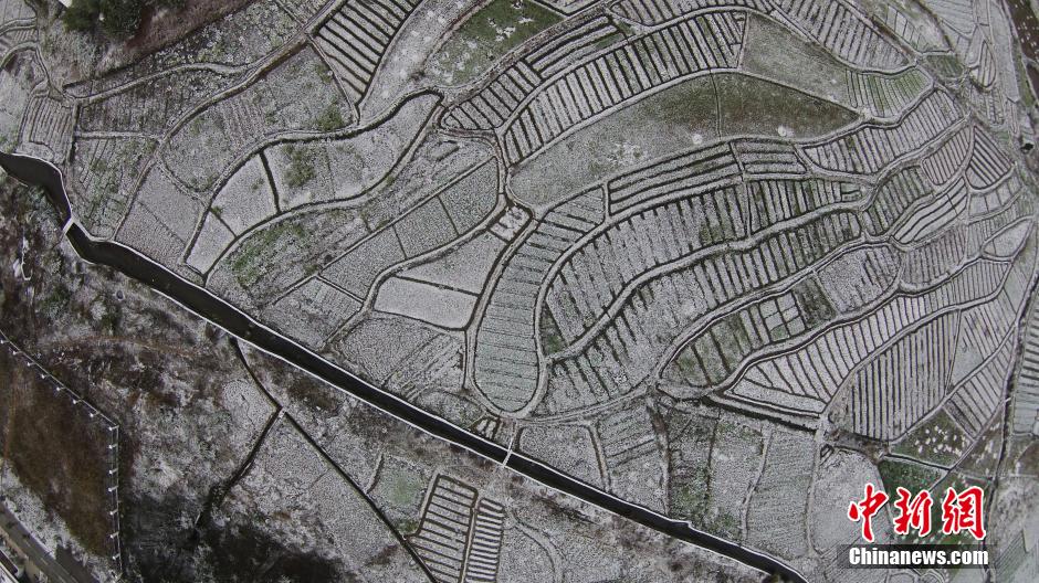 ������������ѩ��