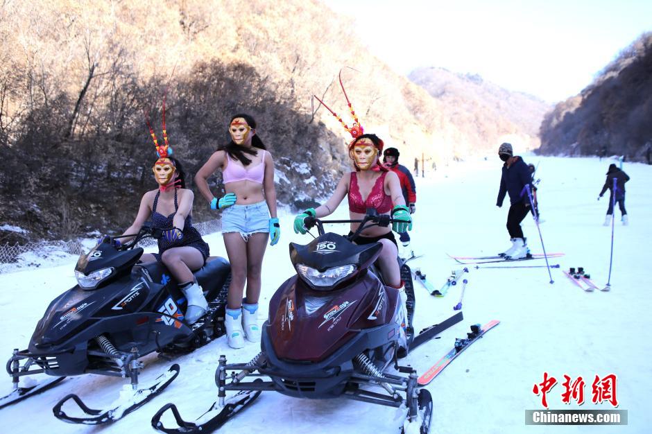 �������������Ϻ�ӭ����