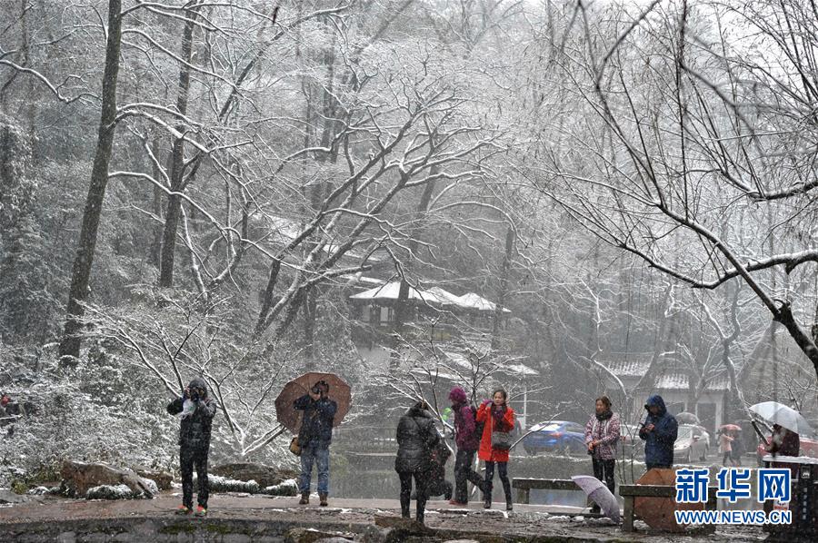 ��ɳӭ�붬��ǿ��ѩ