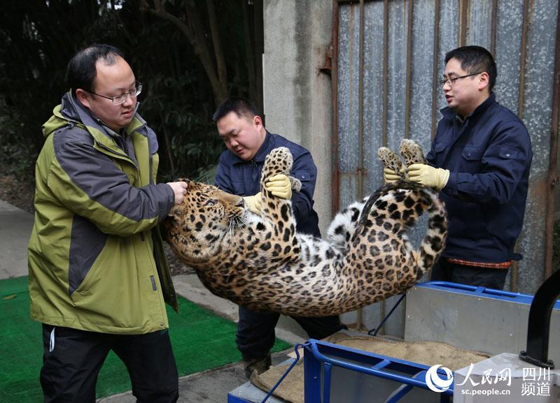 �ɶ�����԰���Ӱ��¼�