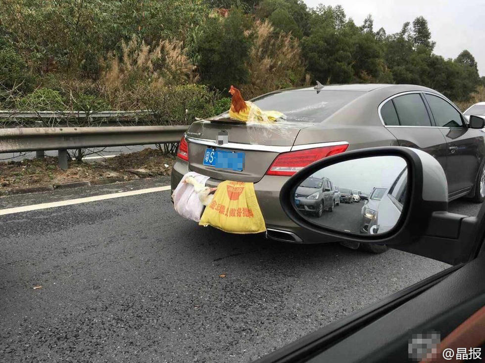 �γ����ż�Ѽ�ܸ���