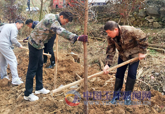 在街道党工委书记洪方君的带领下,机关干部们扛着植树工具,或搬运树苗