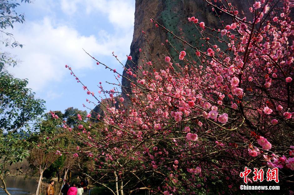 �㽭�ɶ���÷��