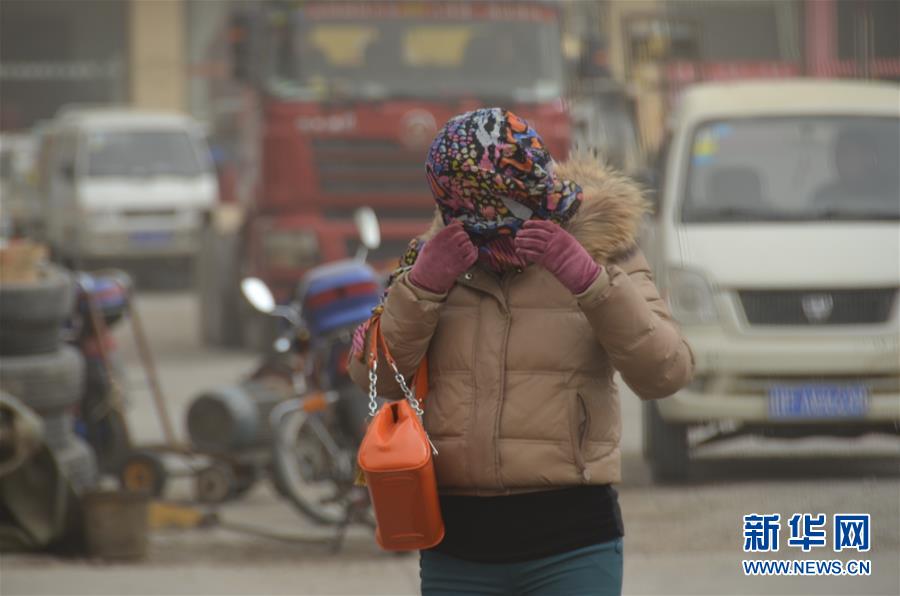 �������������ɳ������