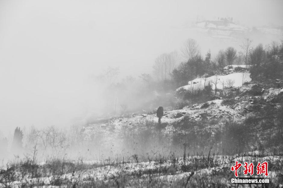 ���ණ�ϲ�Ԫ����ӭ��ѩ