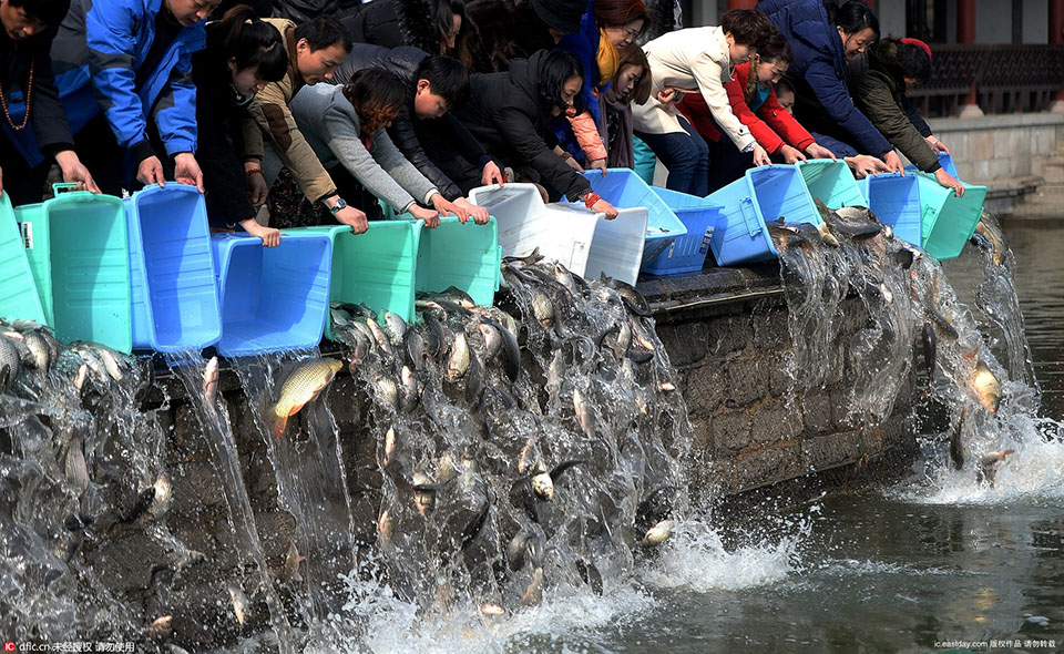 �������������������