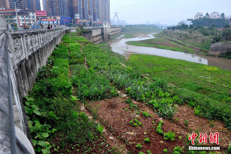 һ�Ӵ������ѳ�˽�Ҳ˵�