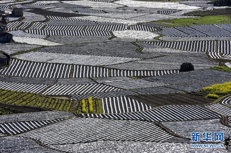 ������԰���续