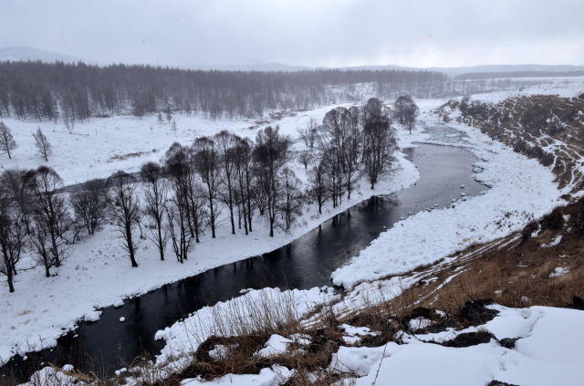 ���ɹŴ��˰���ӭ��ѩ