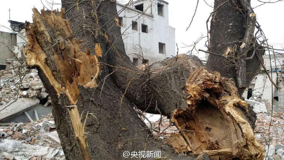 ��ð���������Ǩ���