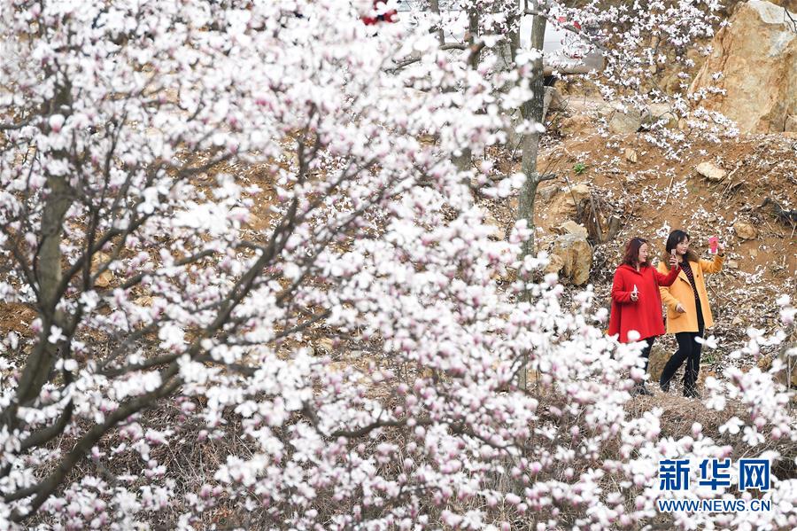 ǧĶ���������Ŵ��ɽ