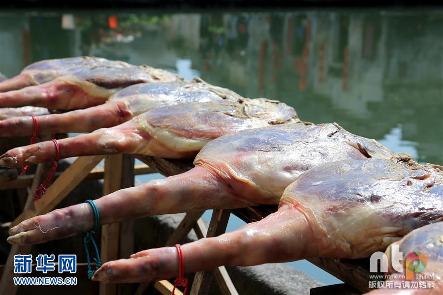 ���ִ�����ɹ��׳�۾���