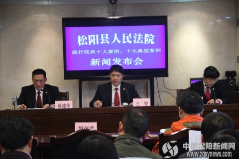 松阳法院发布2015年度"双十大"案例