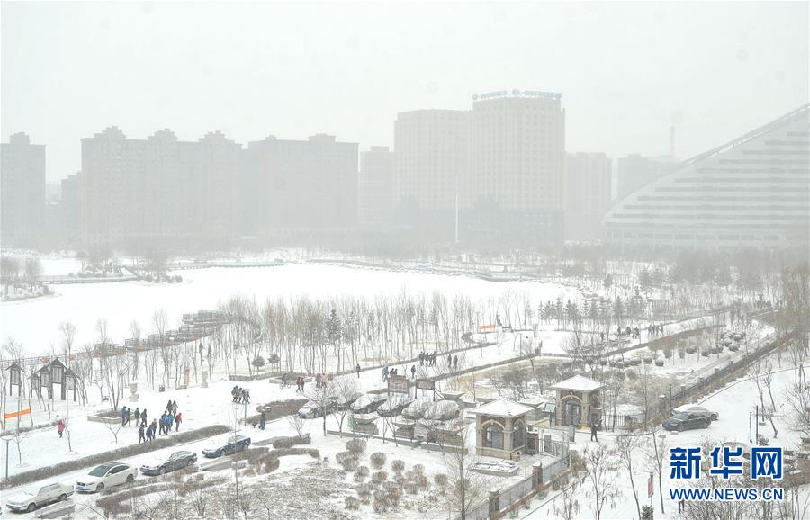 �����ս���ѩ