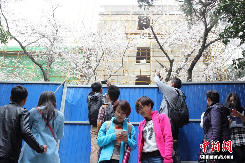 �����Ҫ��ӣ���򱻷�