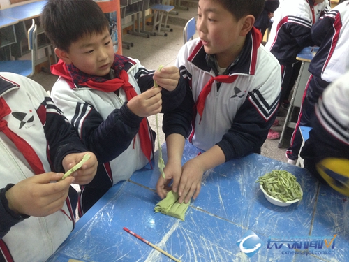 长兴一小孩子学做手工面条 感恩妈妈(图)