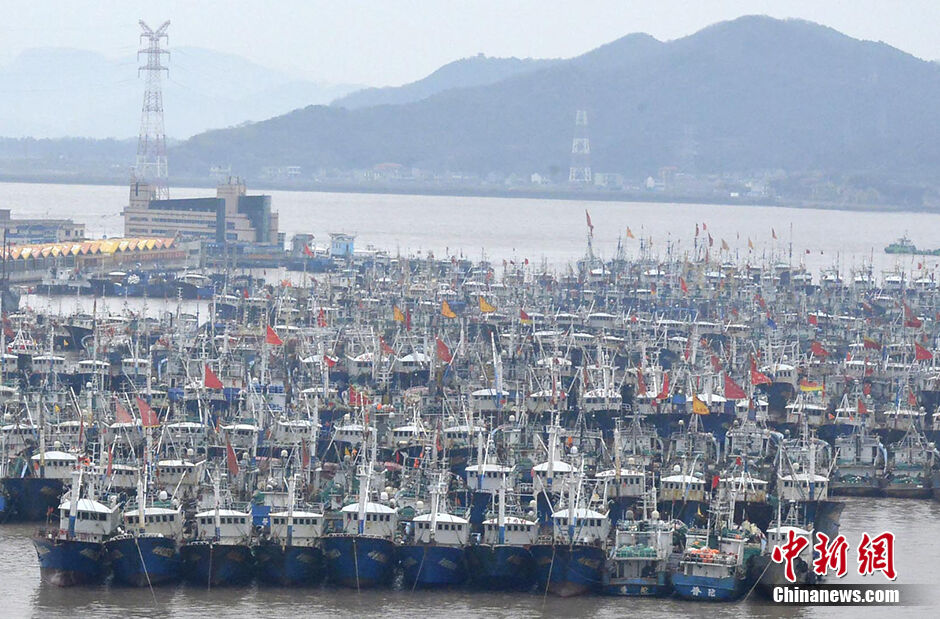 舟山万艘渔船回港避春寒