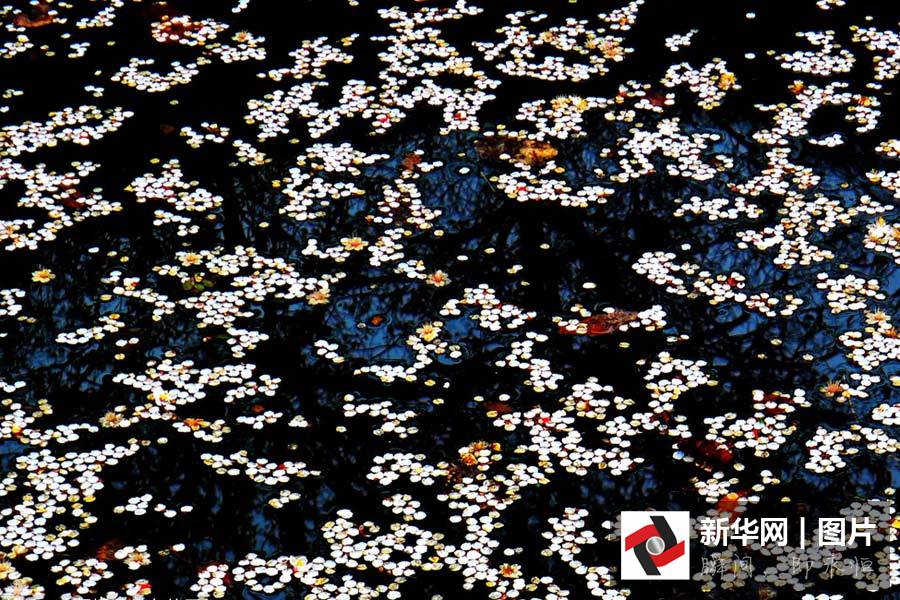 画里村庄九上沟