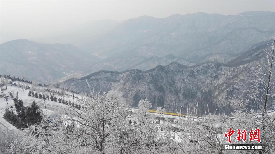 樱花与冰雪雾凇相辉映