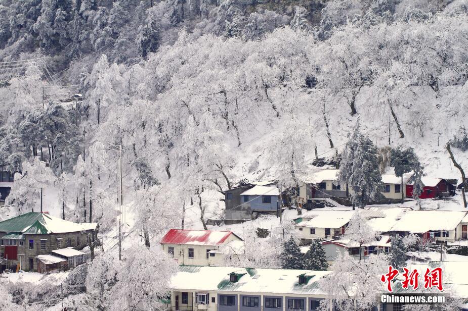 庐山罕见春雪雾凇同现
