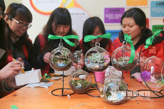 创意微景观 绿趣送空巢