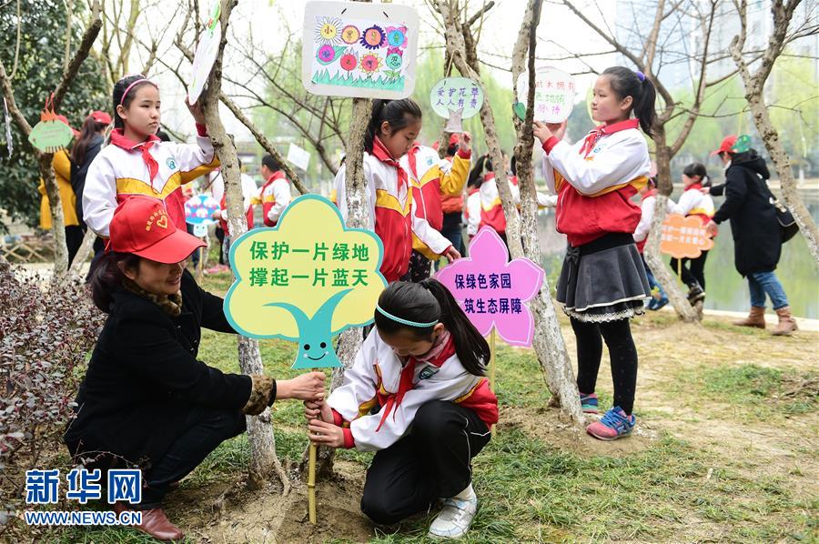 世界森林日 护绿我先行