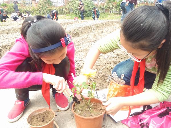 四年级全体学生来到校实践基地.