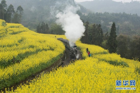 开往春天的“小火车”